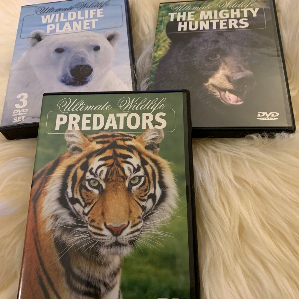 SALE!! Wildlife videos 5 DVD set